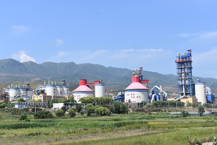 漳縣公司網(wǎng)站.jpg